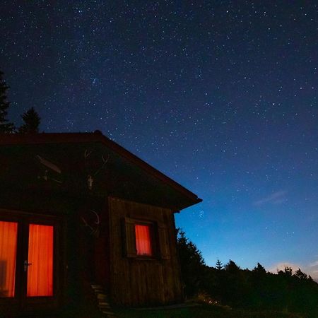 Chalet Petit Kanzelhohe Екстериор снимка