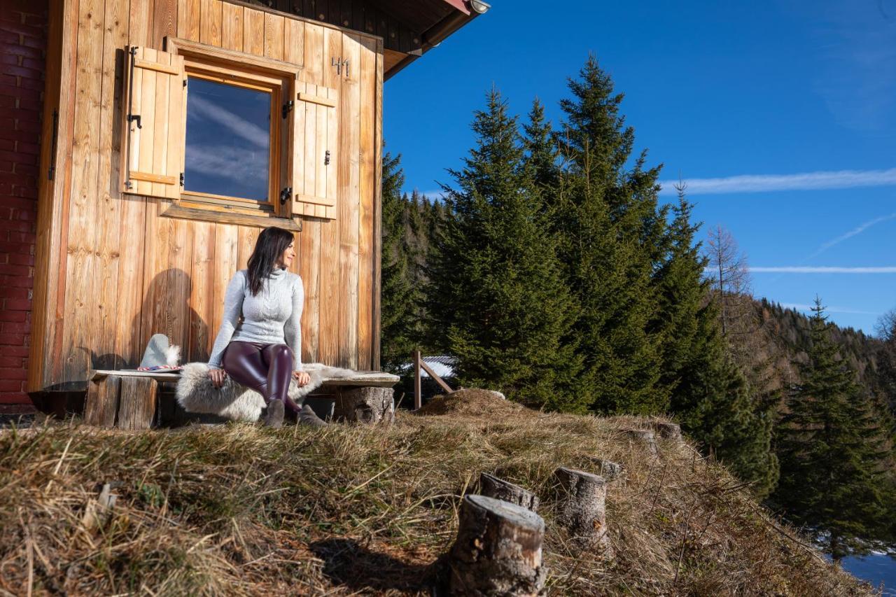 Chalet Petit Kanzelhohe Екстериор снимка