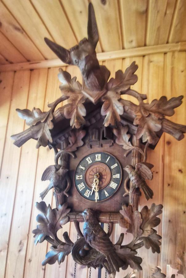 Chalet Petit Kanzelhohe Екстериор снимка