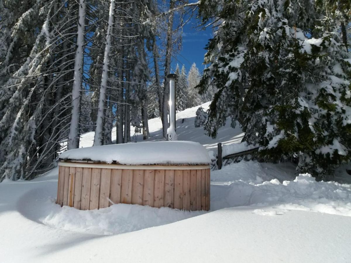 Chalet Petit Kanzelhohe Екстериор снимка