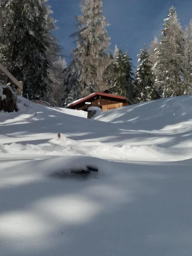 Chalet Petit Kanzelhohe Екстериор снимка