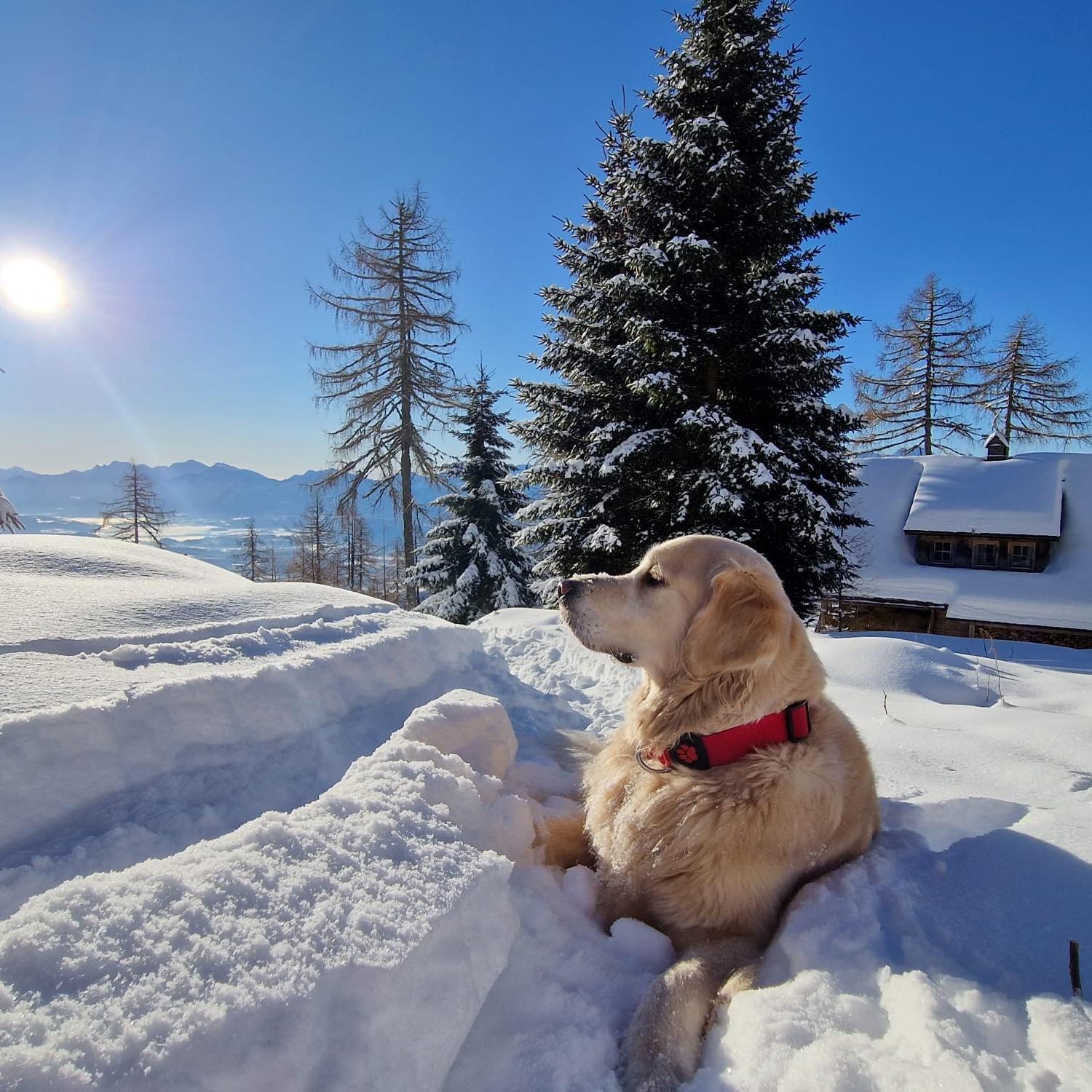 Chalet Petit Kanzelhohe Екстериор снимка